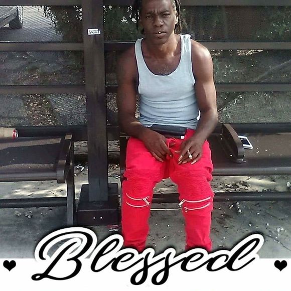 Meet your Posher, Jarvis - Picture 1 of 1